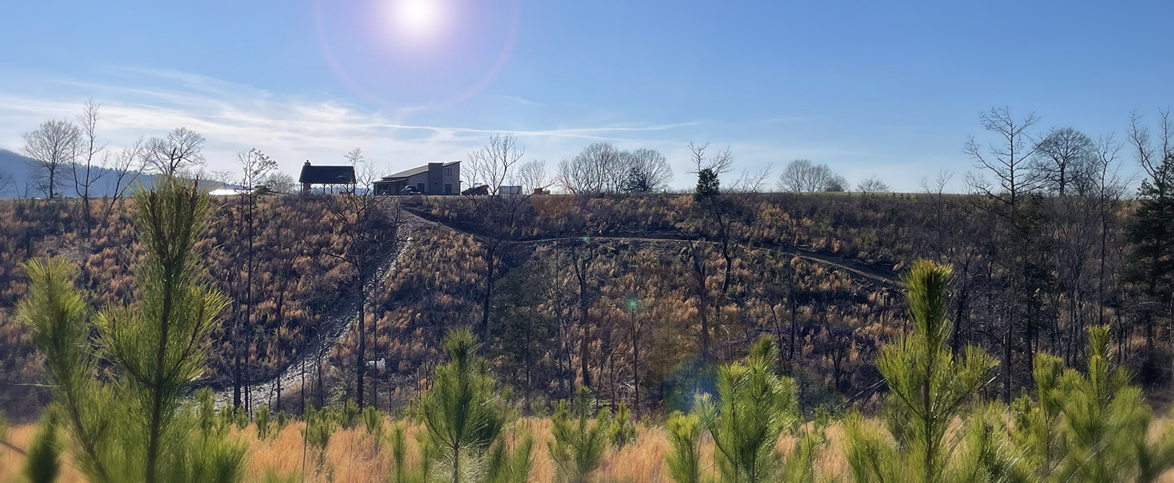 Mena Arkansas Cabin Rental Lagom Cabin at Hollyview360
